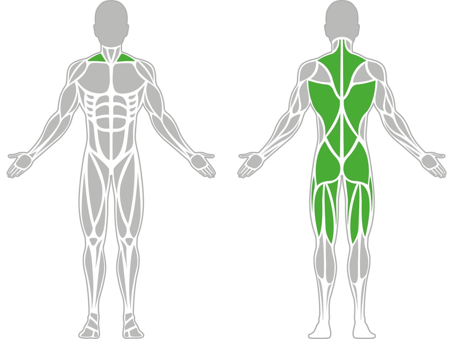 DOUBLE BACK TRAINING BENCH