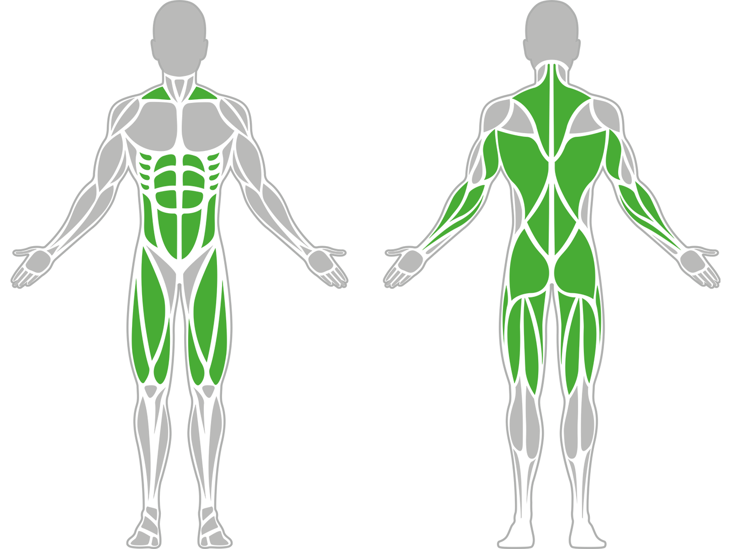 BACK AND AB TRAINER