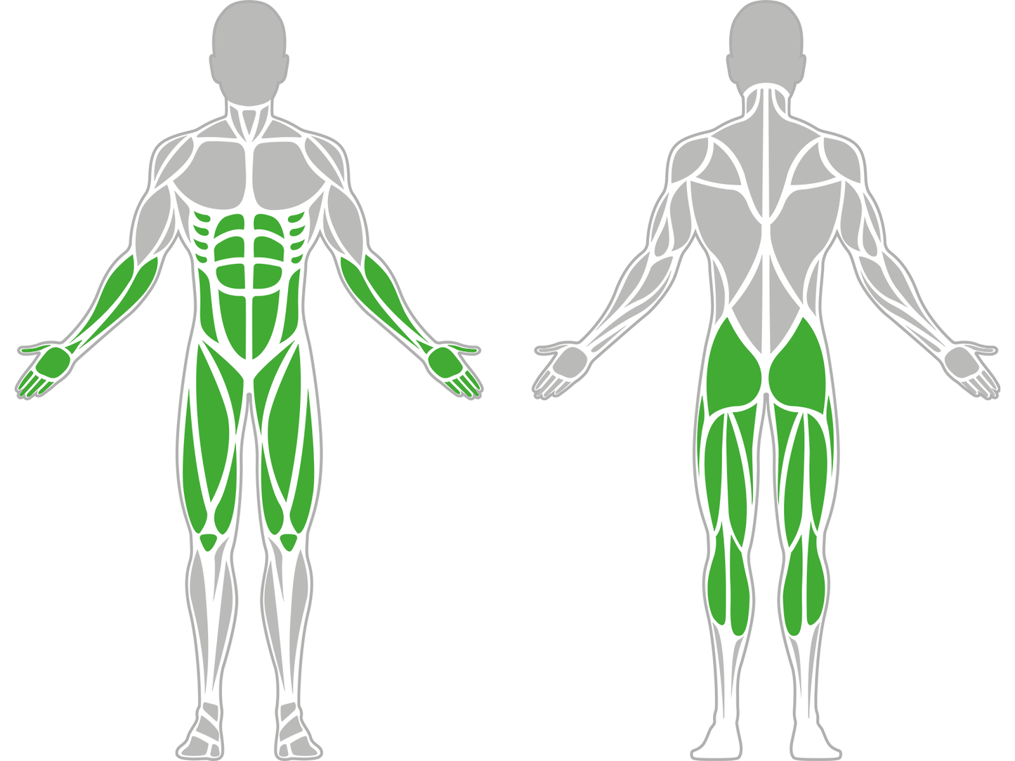 GLUTE HAM RAISE PRO