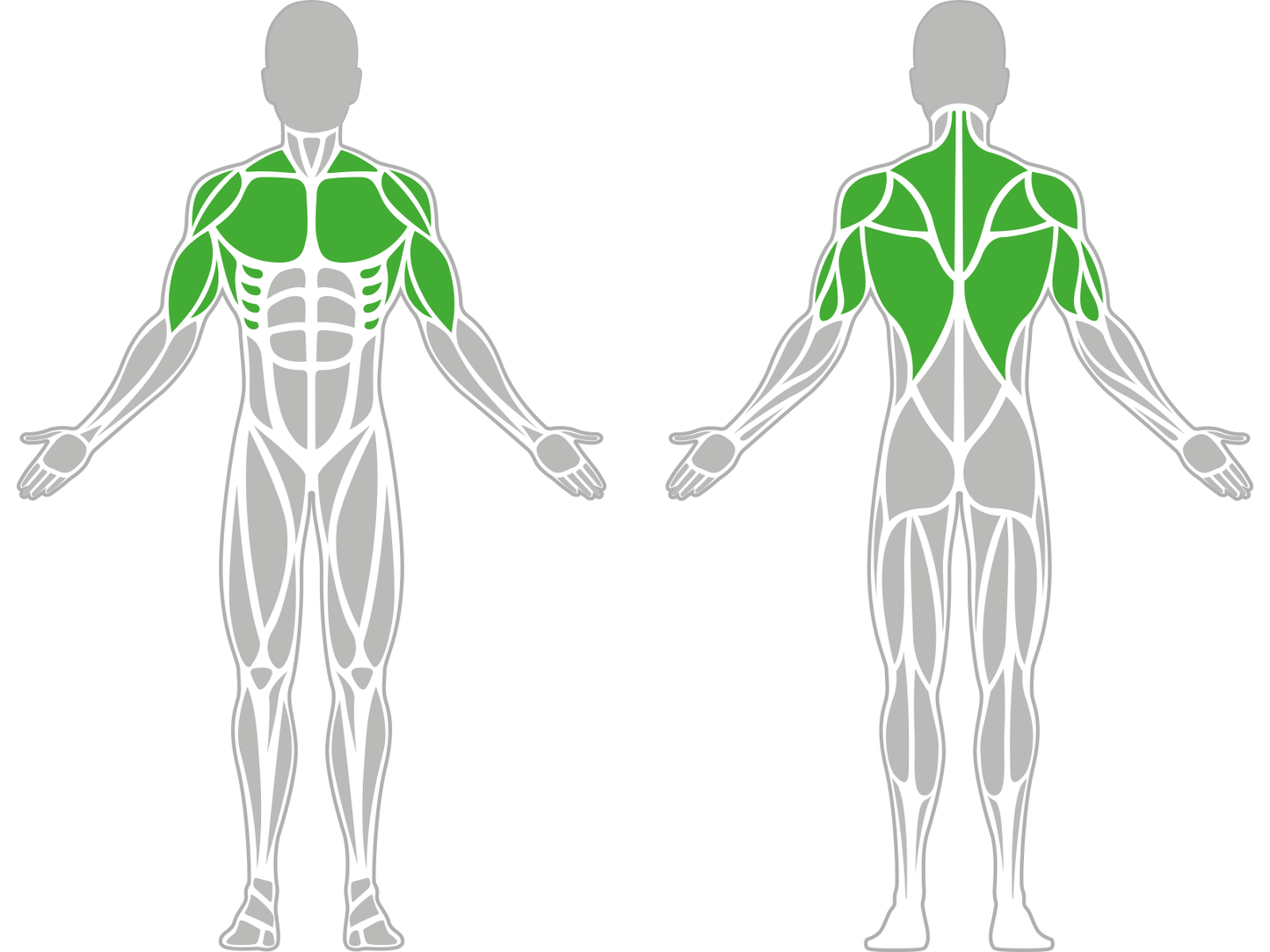 Chest Press