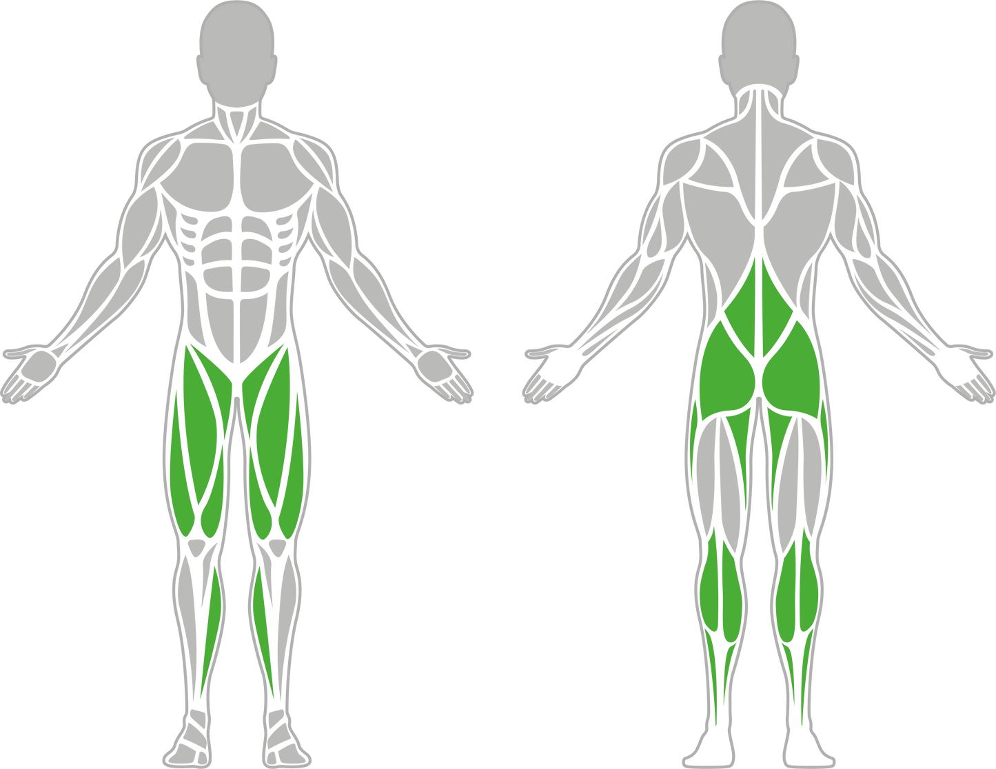 Weighted Squat Machine
