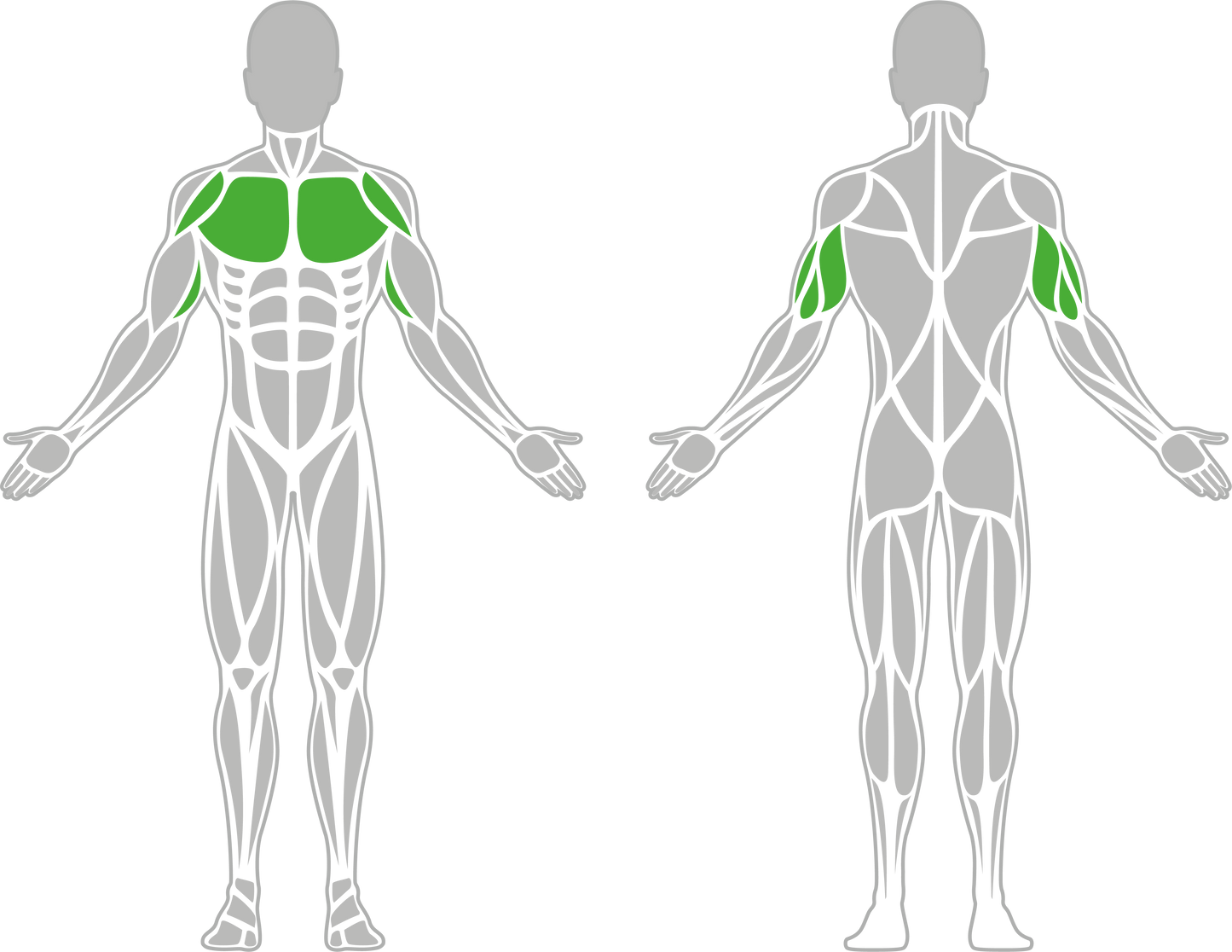Accessible Chest Press